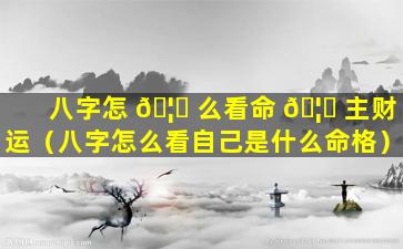 八字怎 🦟 么看命 🦄 主财运（八字怎么看自己是什么命格）